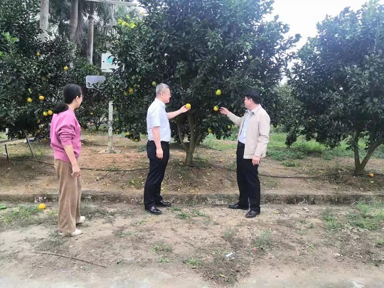 J9国际集团(中国)-官方网站