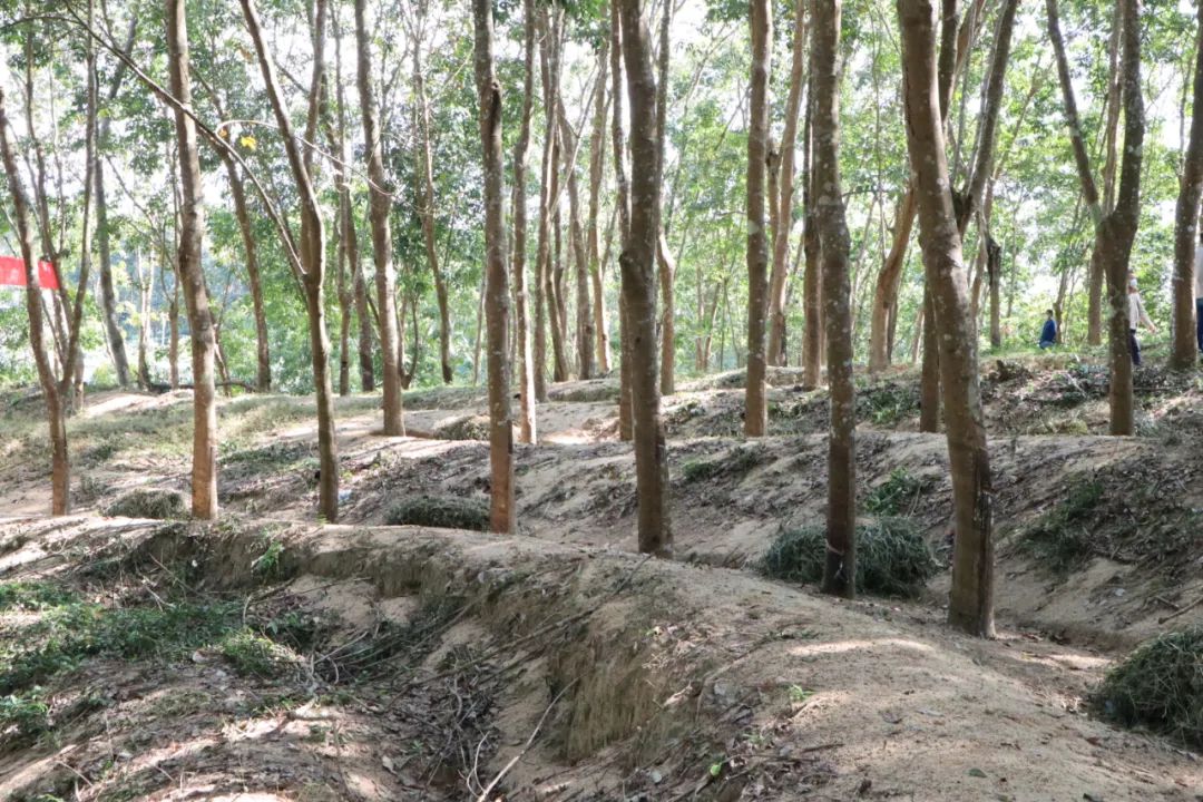 J9国际集团(中国)-官方网站